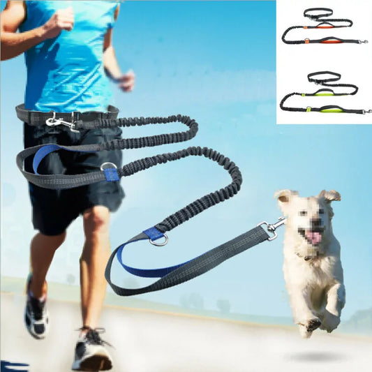 Adjustable Hands-free Waist Leash for Dog