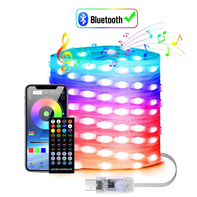 Smart Christmas Decoration Lights