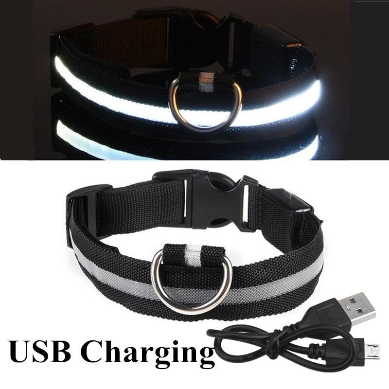 Adjustable LED Pet Collar - Emporium WRJJ