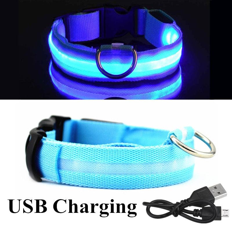 Adjustable LED Pet Collar - Emporium WRJJ