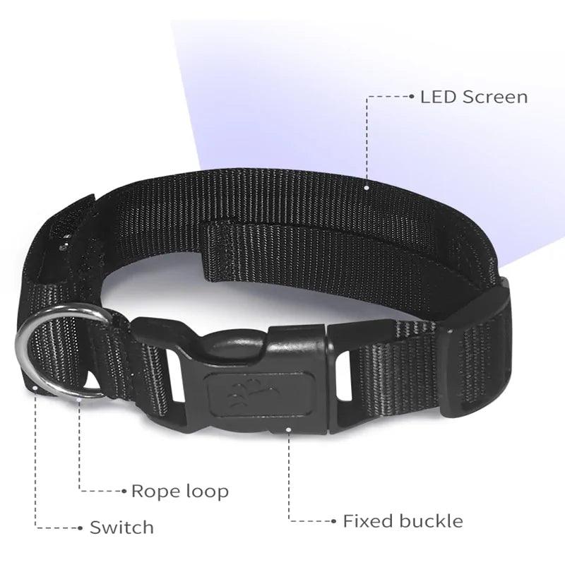 Bluetooth Luminous Pet Collar - Emporium WRJJ