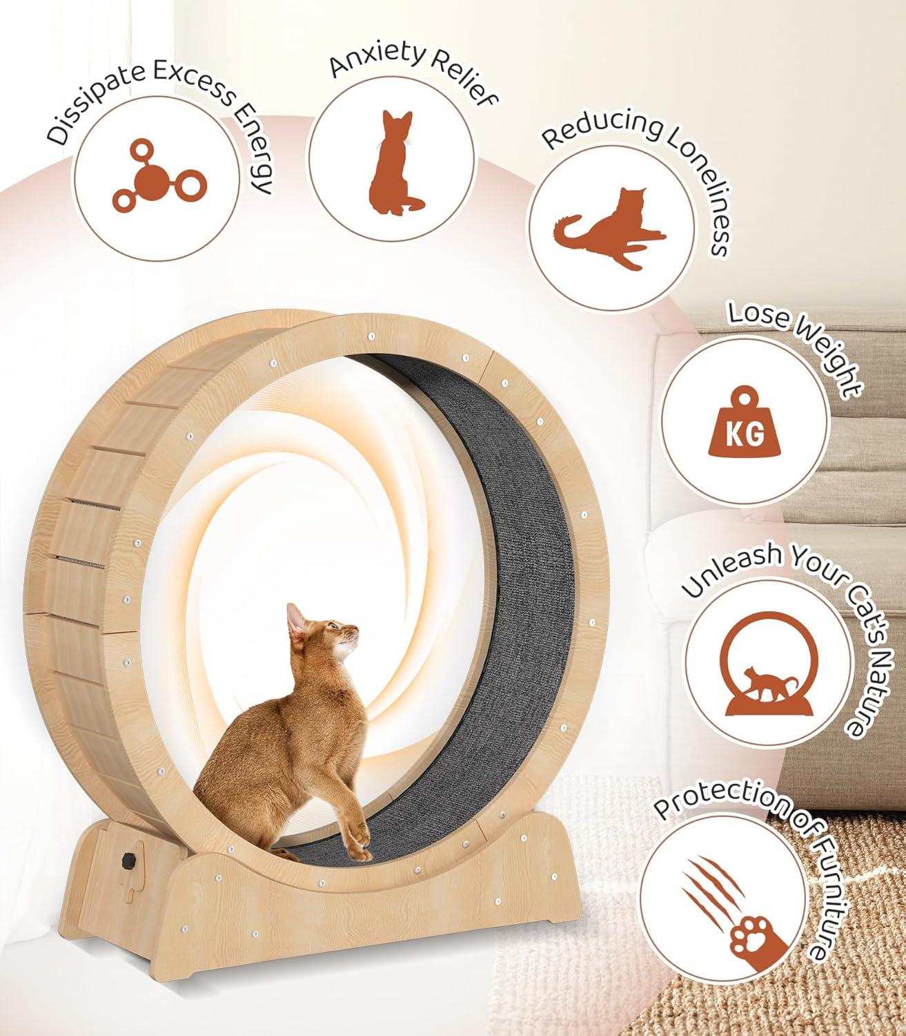 Cat-Specific Treadmill Fitness Roller - Emporium WRJJ