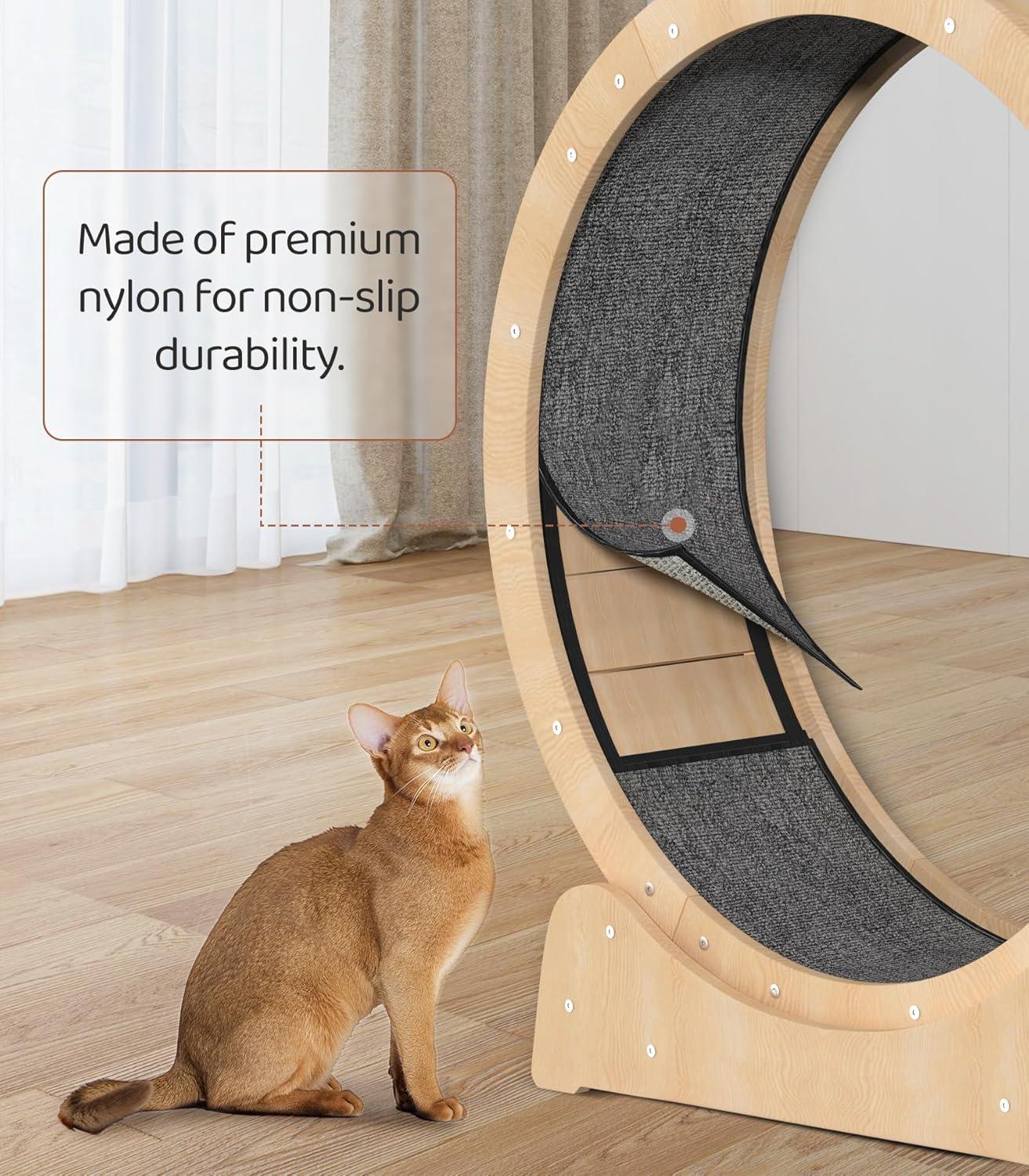 Cat-Specific Treadmill Fitness Roller - Emporium WRJJ