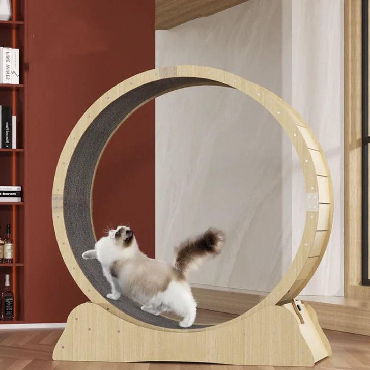 Cat-Specific Treadmill Fitness Roller - Emporium WRJJ