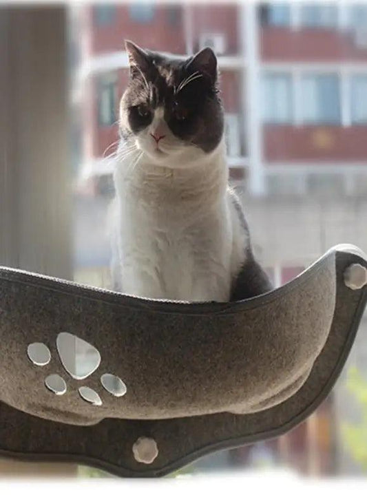 Cat Window Hammock - Emporium WRJJ