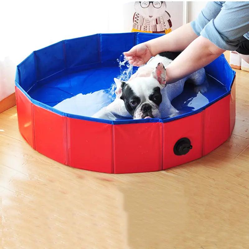 Foldable Dog Pool - Emporium WRJJ