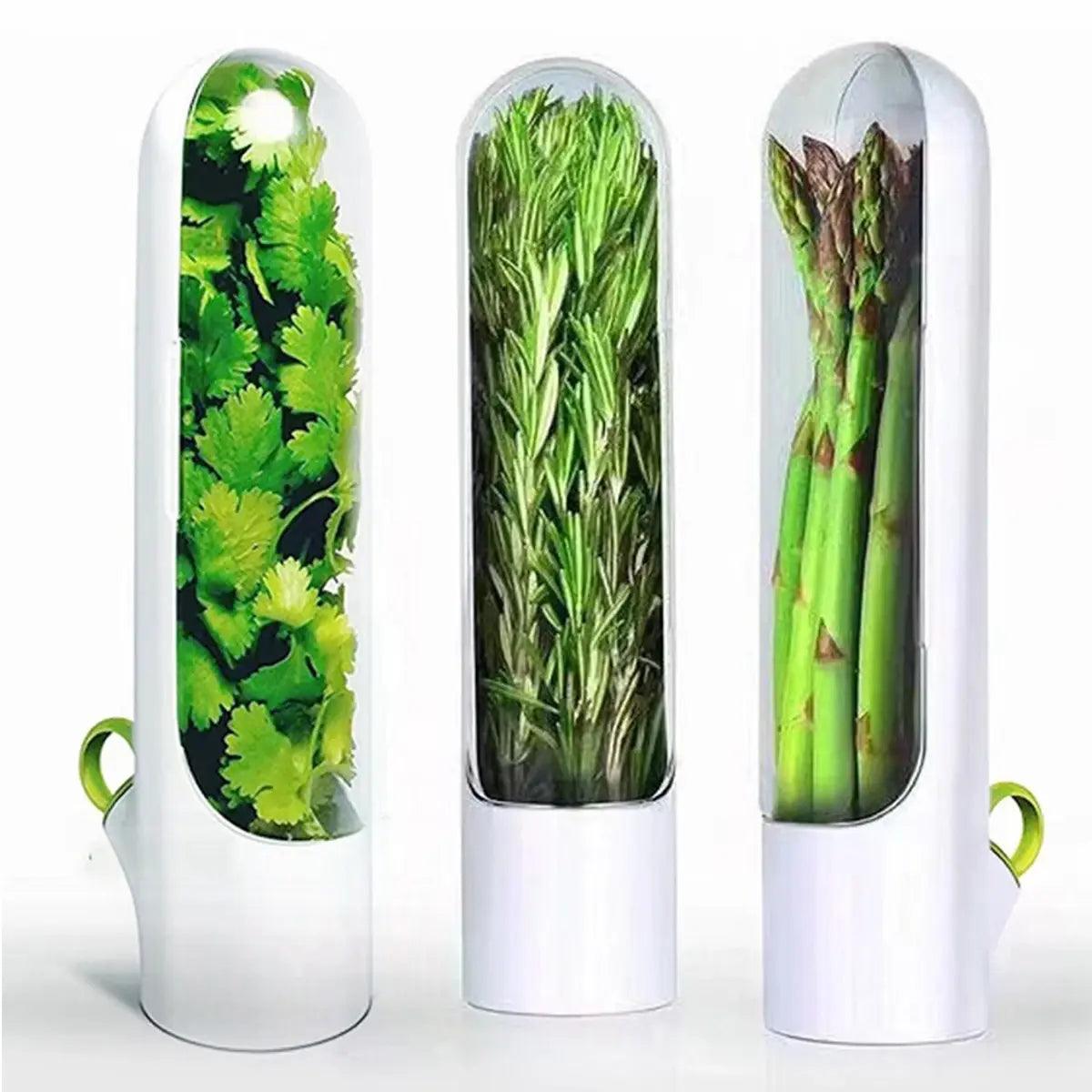 Herb Saver: Freshness Container For Kitchen - Emporium WRJJ