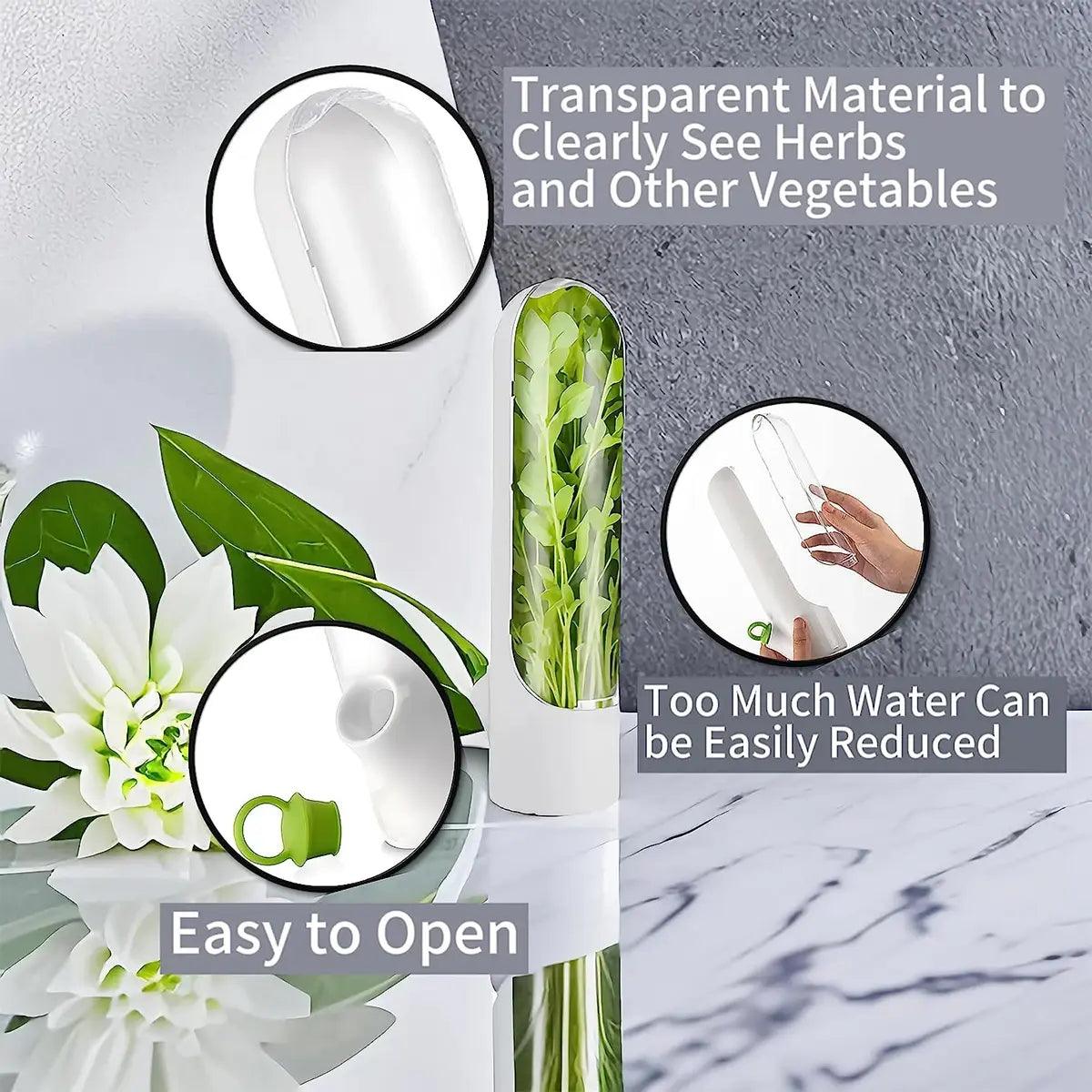 Herb Saver: Freshness Container For Kitchen - Emporium WRJJ