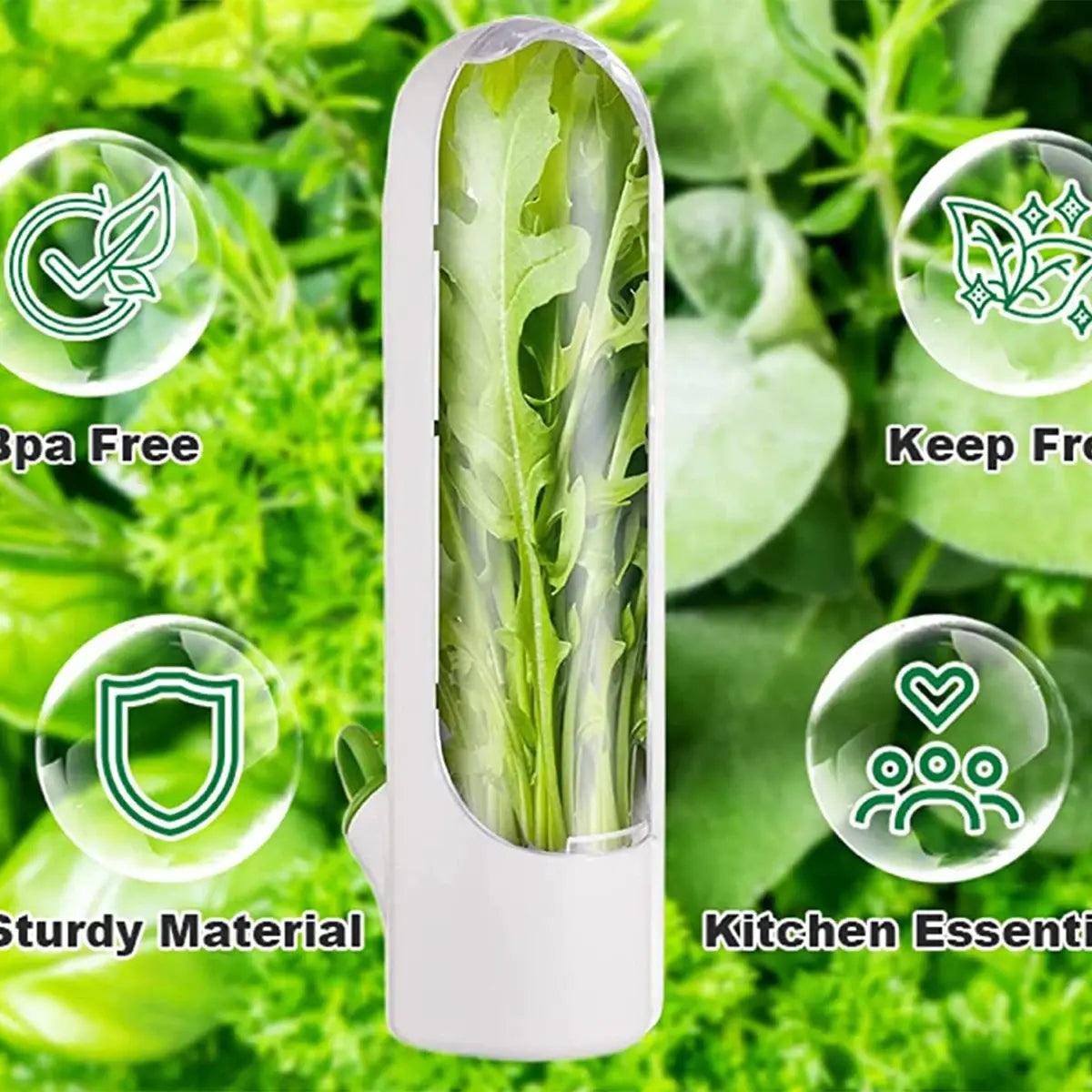 Herb Saver: Freshness Container For Kitchen - Emporium WRJJ