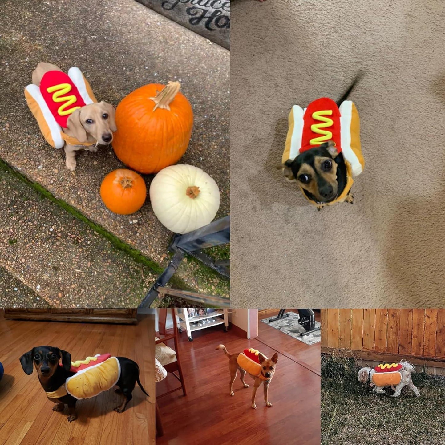 Hot Dog Halloween Costume for Pets - Emporium WRJJ