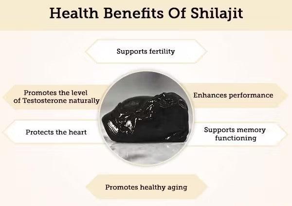 Natural Organic Pure Himalayan Shilajit 30 Grams - Emporium WRJJ