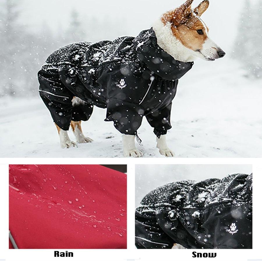 Pet Dog Coat Outdoor Waterproof - Emporium WRJJ