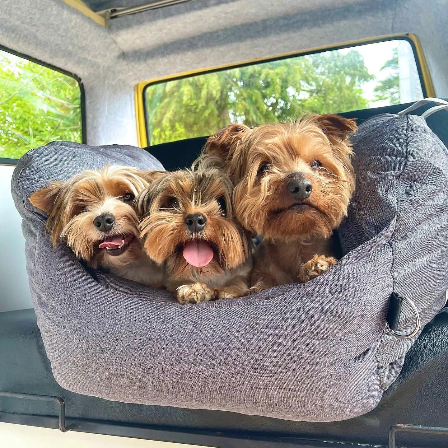 Pet Travel Car Bed - Emporium WRJJ