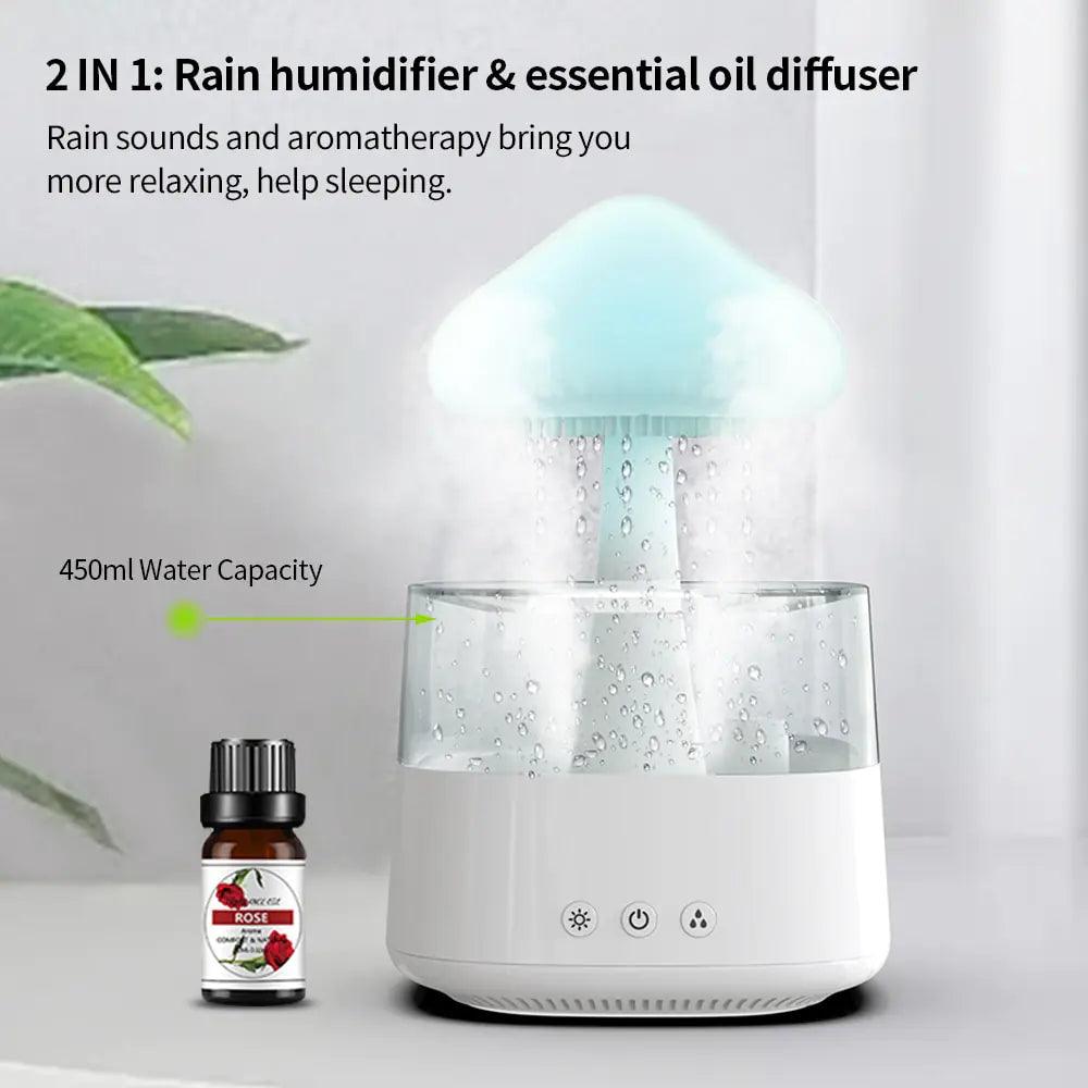 Rain Cloud Humidifier - Emporium WRJJ