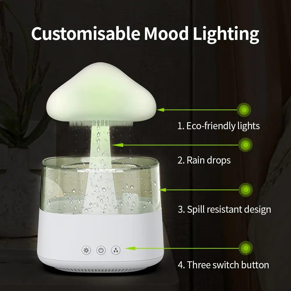 Rain Cloud Humidifier - Emporium WRJJ