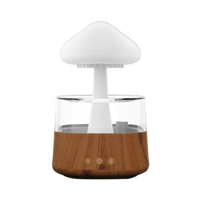 Rain Cloud Humidifier - Emporium WRJJ