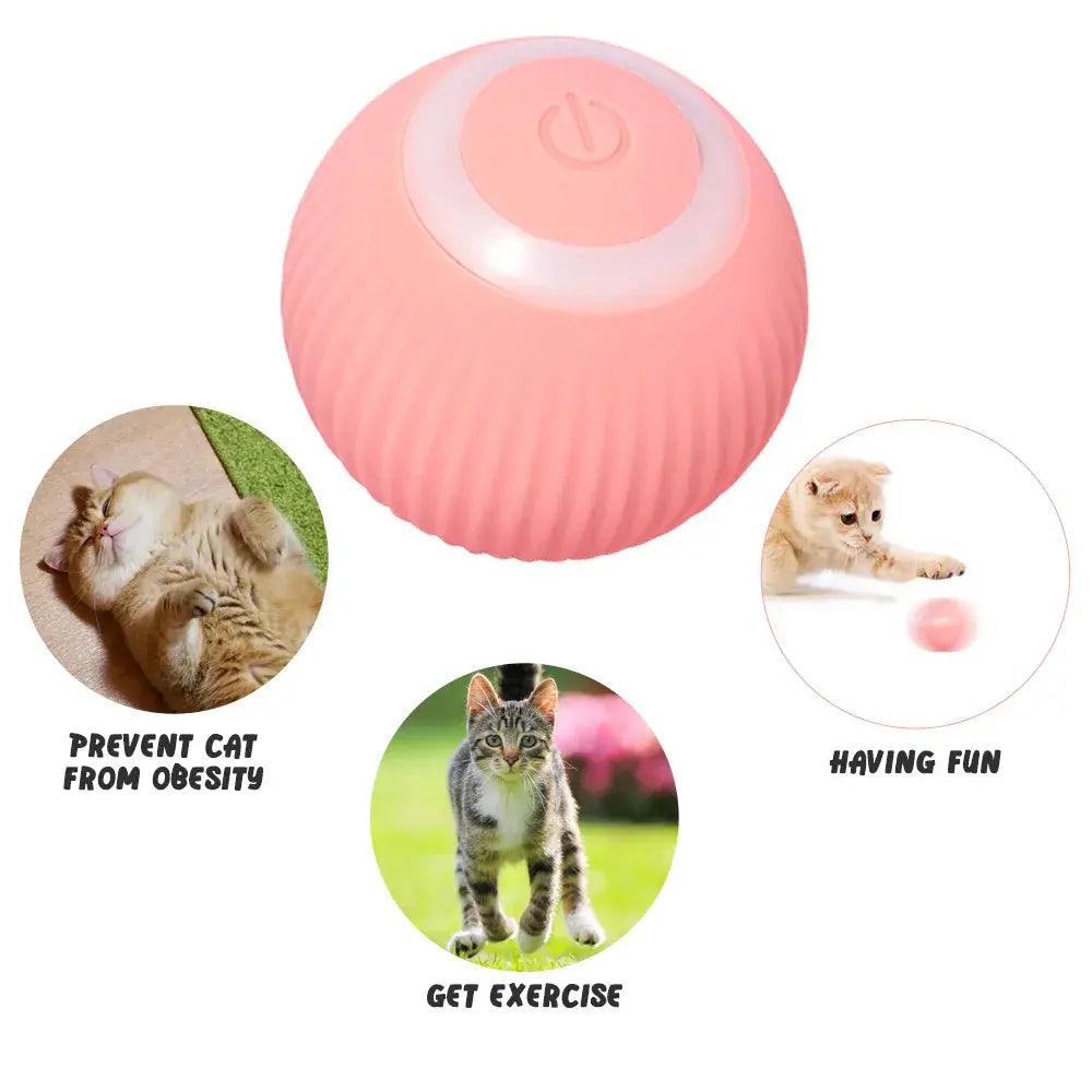 Rolling Ball Electric Cat Toys - Emporium WRJJ