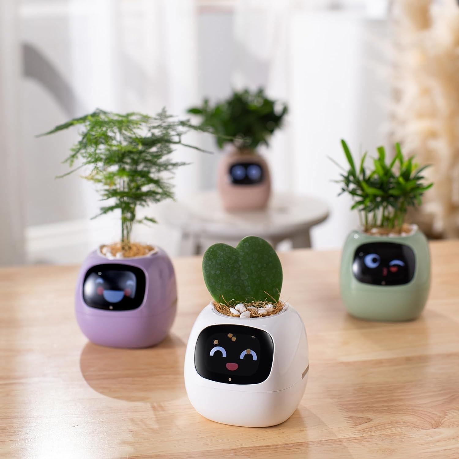 Smart Planter with AI - Emporium WRJJ