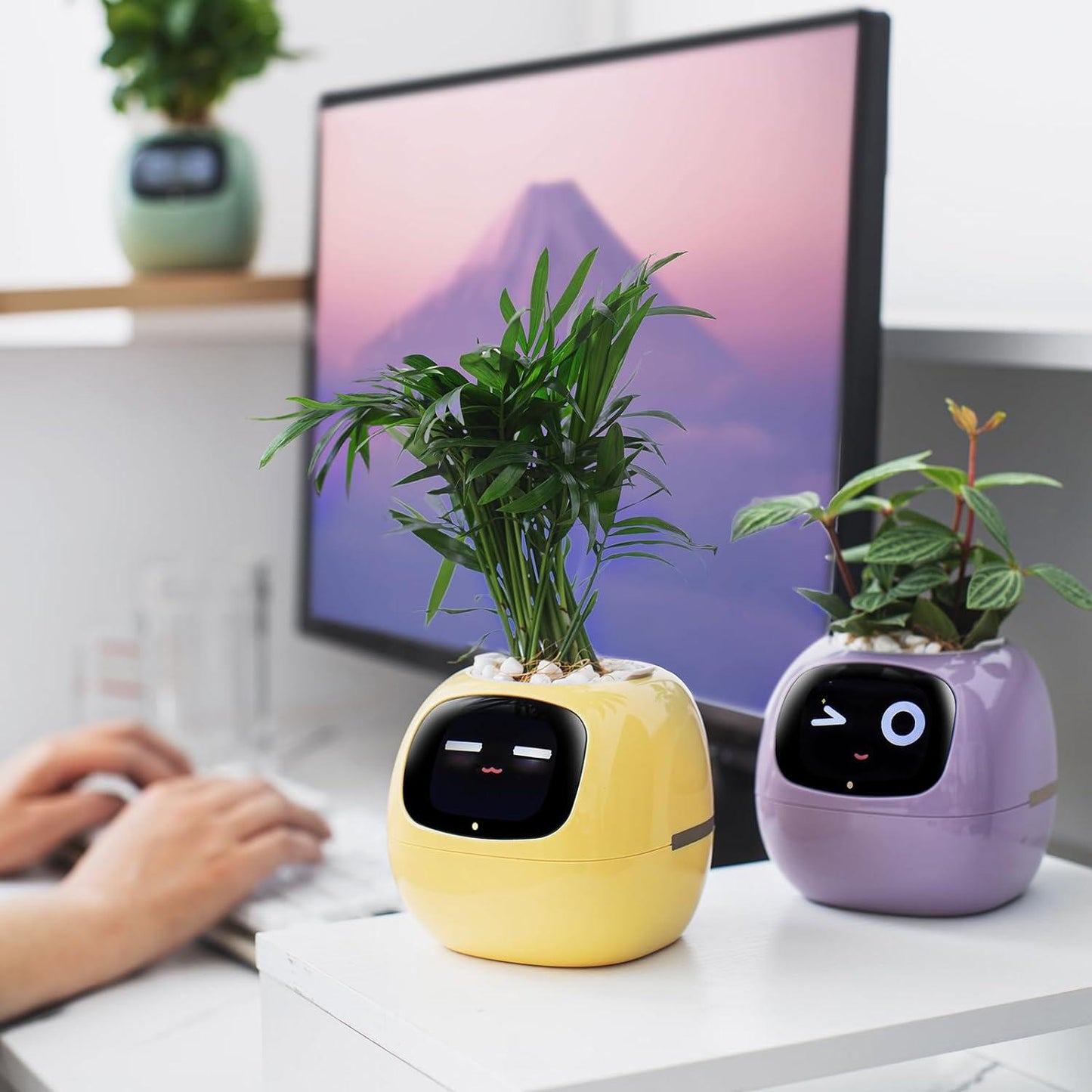 Smart Planter with AI - Emporium WRJJ