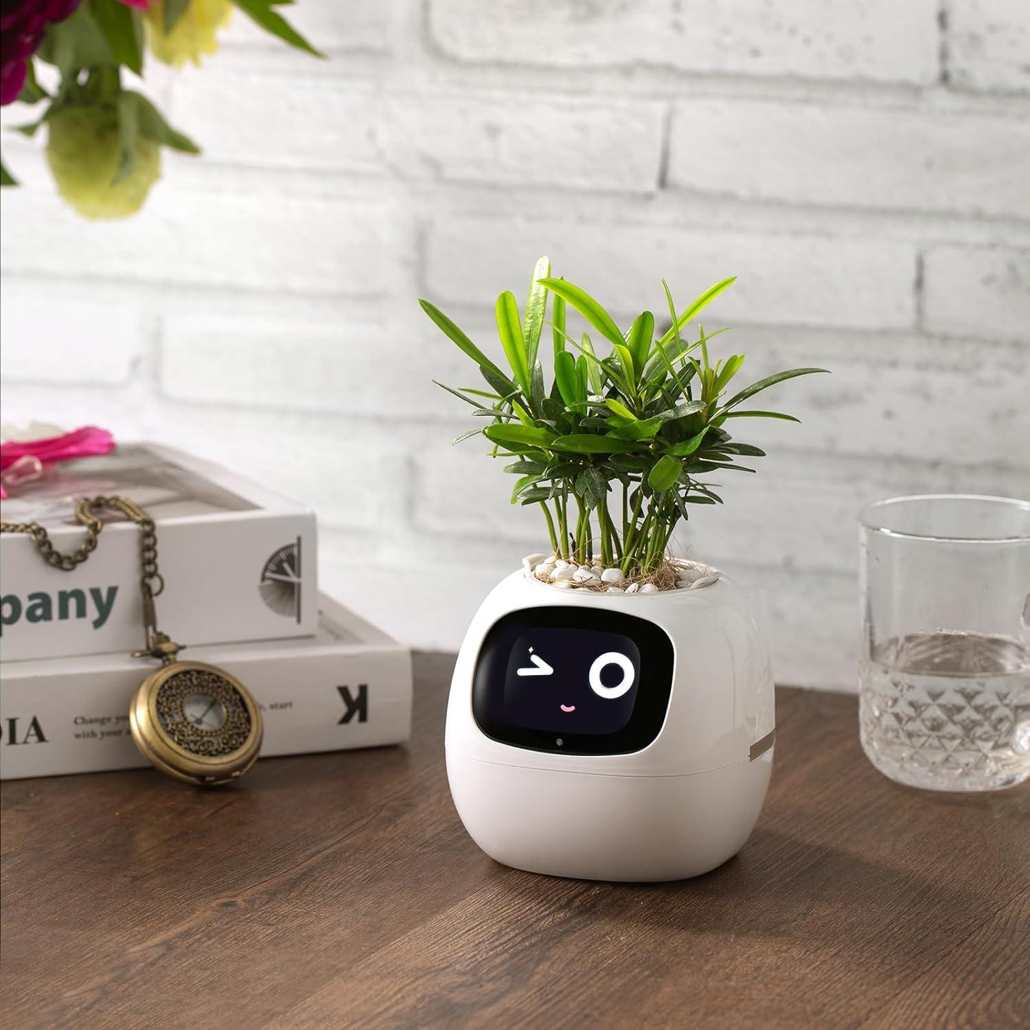 Smart Planter with AI - Emporium WRJJ