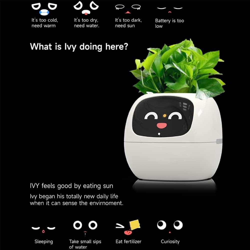 Smart Planter with AI - Emporium WRJJ