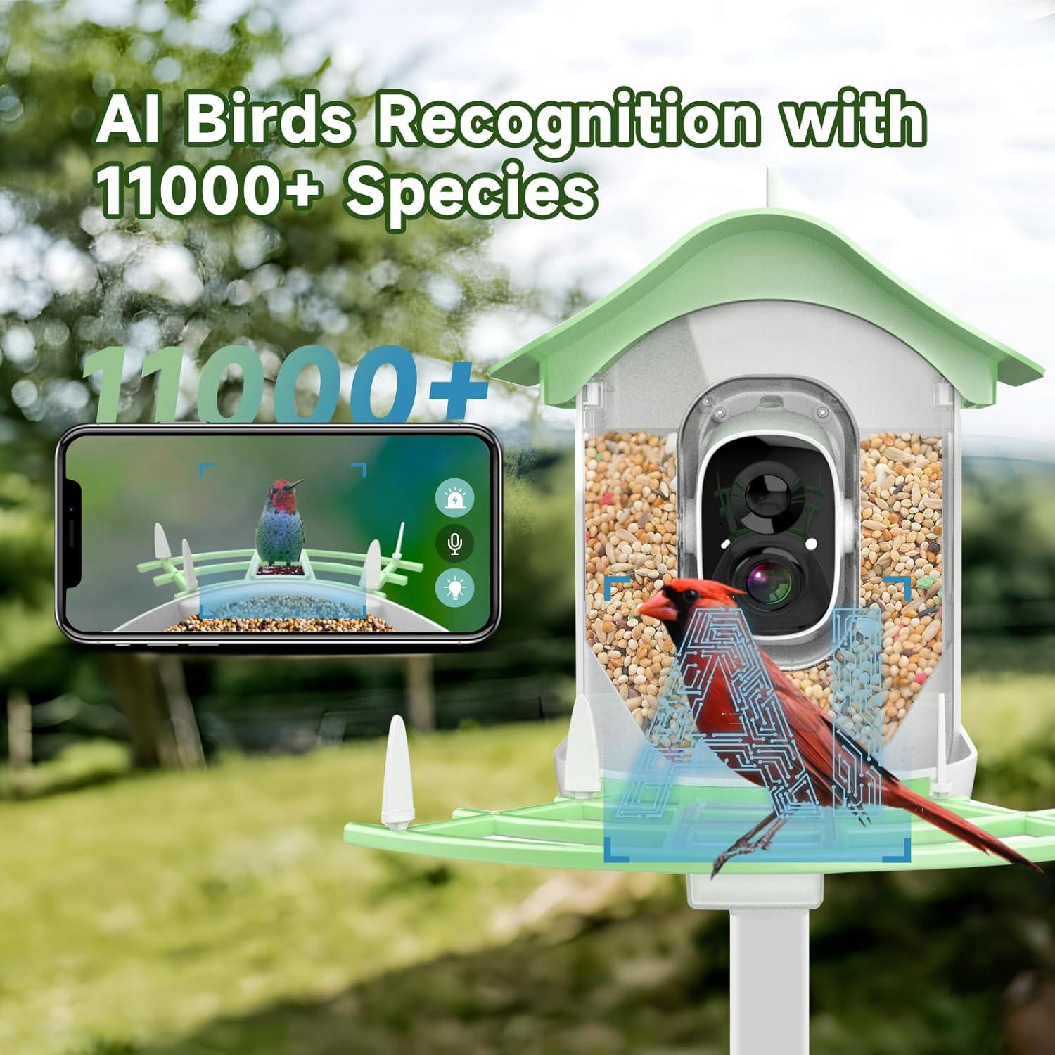 Solar-Powered Waterproof Bird Feeder with Camera - Emporium WRJJ