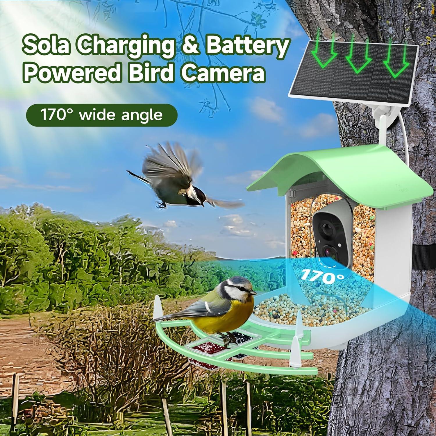 Solar-Powered Waterproof Bird Feeder with Camera - Emporium WRJJ