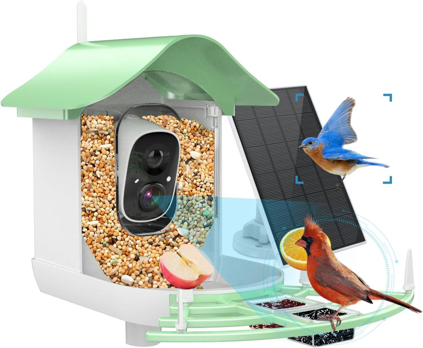 Solar-Powered Waterproof Bird Feeder with Camera - Emporium WRJJ