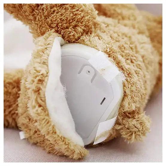 Teddy Bear Peekaboo Toy - Emporium WRJJ