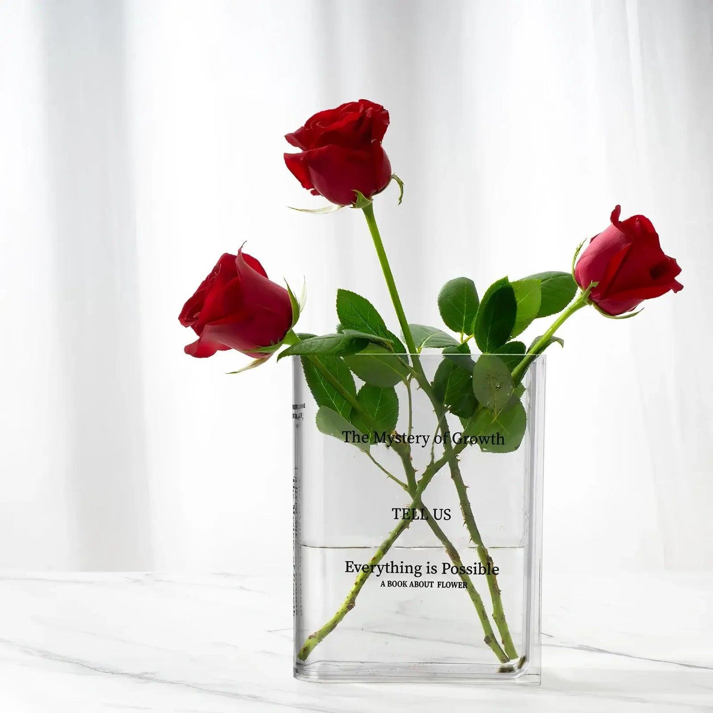 Transparent Book Vase - Emporium WRJJ