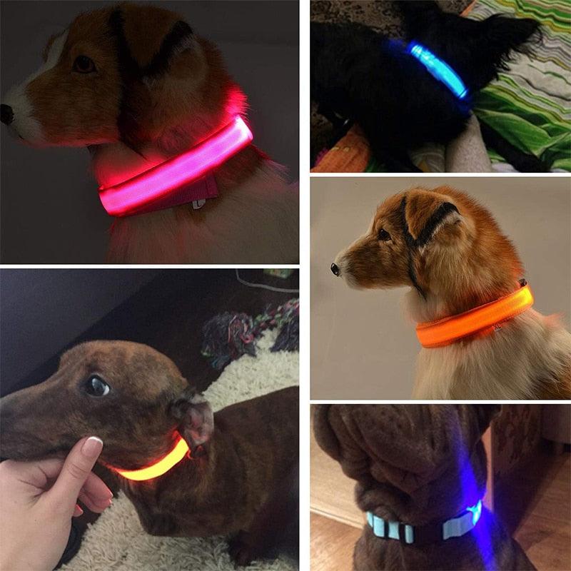 Adjustable LED Pet Collar - Emporium WRJJ