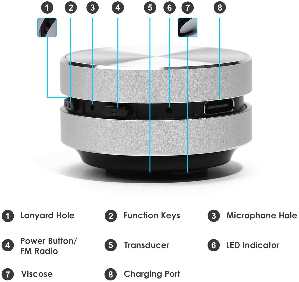 Hummingbird Speaker - Emporium WRJJ