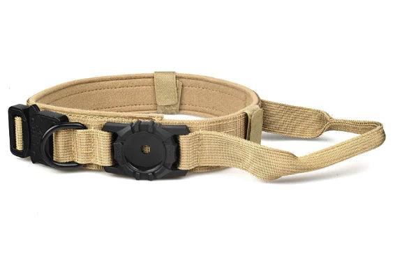 Metal Buckle Dog Collar - Emporium WRJJ