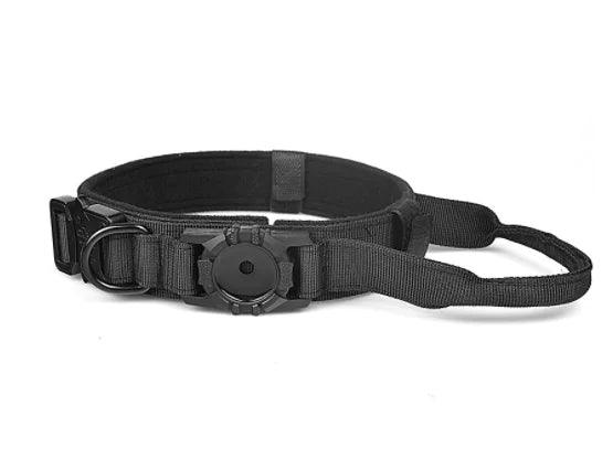 Metal Buckle Dog Collar - Emporium WRJJ