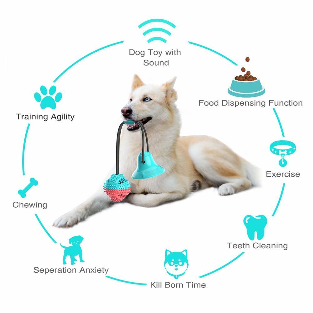 Multifunction Pet Molar Bite Toy - Emporium WRJJ