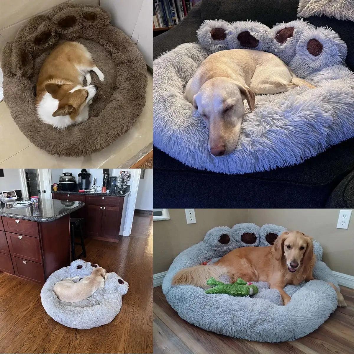 Pet Dog Sofa Beds - Emporium WRJJ