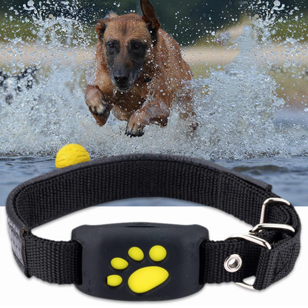 Pet GPS Tracker Collar - Emporium WRJJ