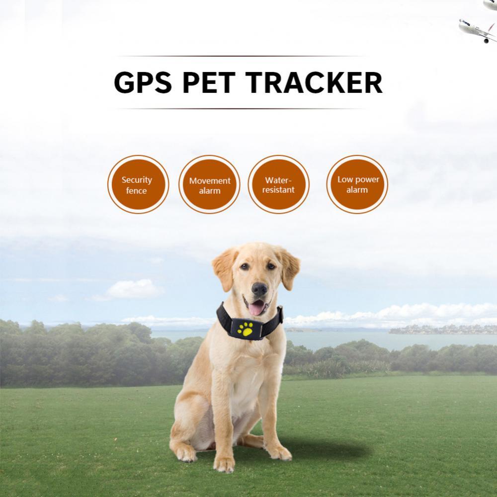 Pet GPS Tracker Collar - Emporium WRJJ