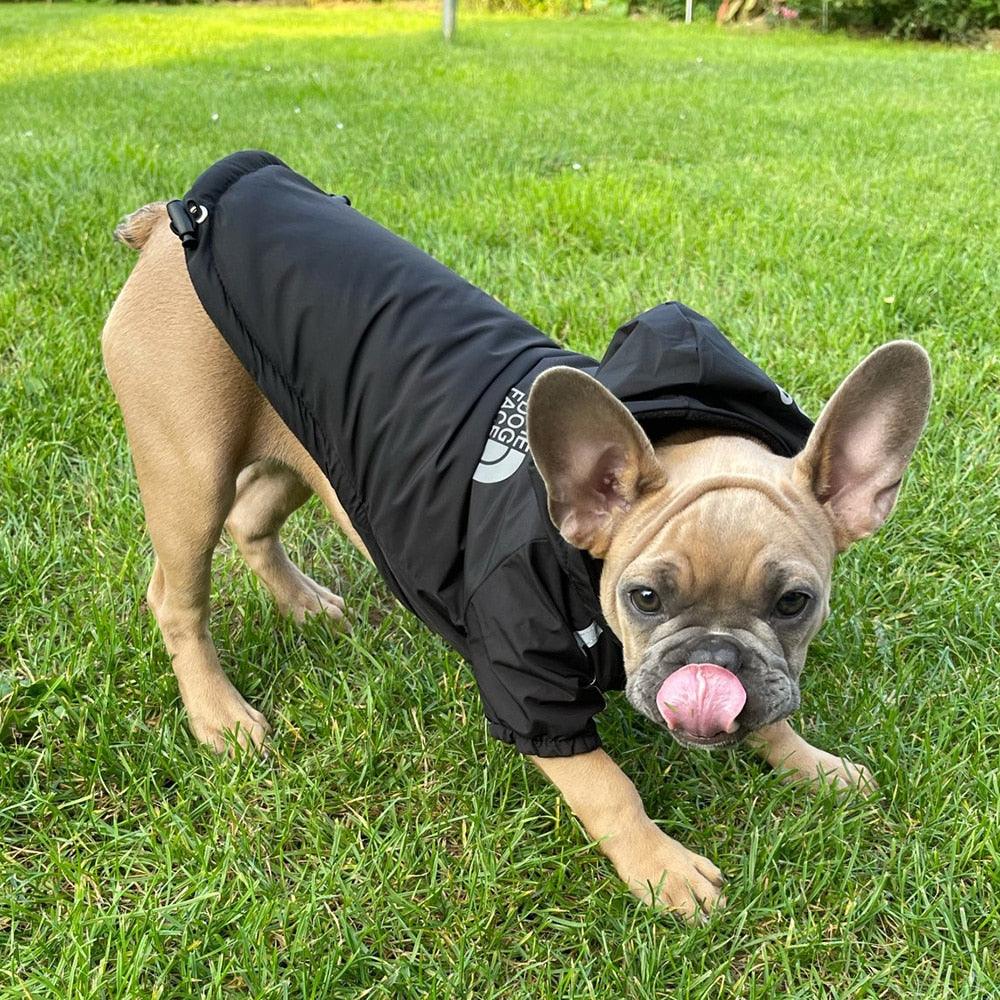 Reflective Pet Hooded Jacket - Emporium WRJJ