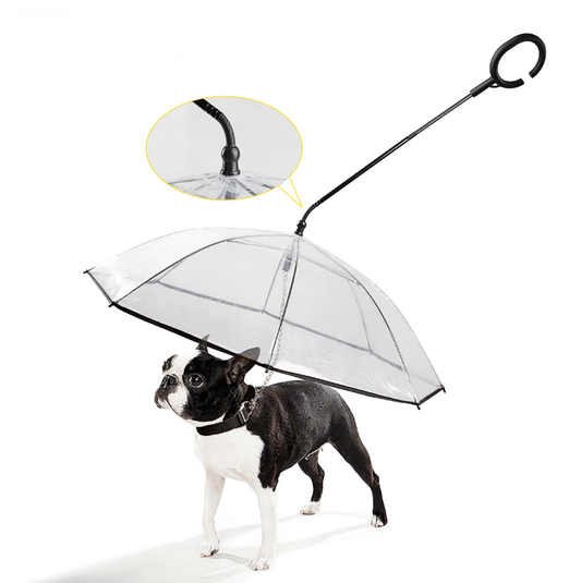 Transparent Pet Umbrella - Emporium WRJJ