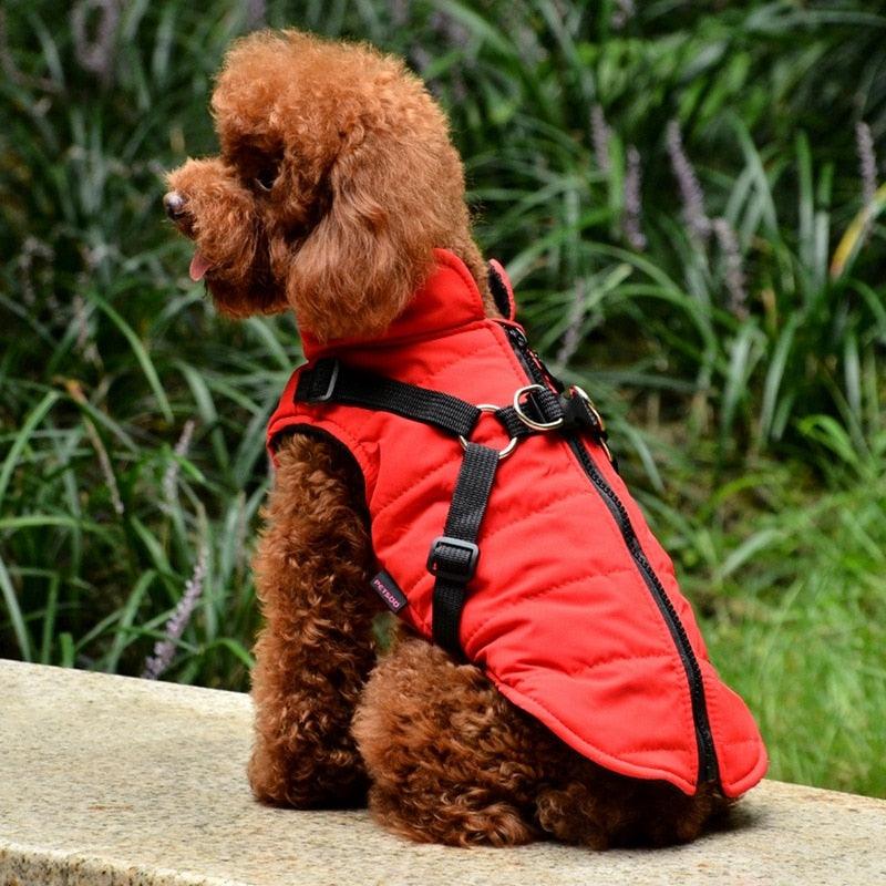 Waterproof Pet Coat With Harness - Emporium WRJJ